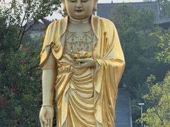 -冶父山国家森林公园
