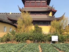 -重元寺香积厨素斋馆