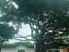 -墨池公园