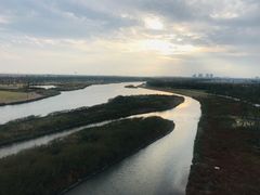 -春花秋色城市公园