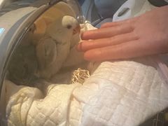 -华夏良子·足道SPA艾灸(铁道大厦店)