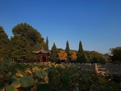 -晋祠公园
