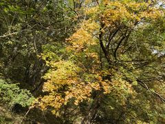 -香山公园