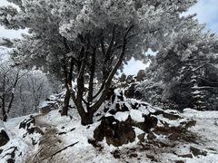 -安吉龙王山风景区