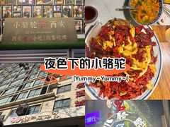 -福苗小骆驼烧烤(莲湖路店)