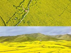 -扁都口生态休闲旅游区