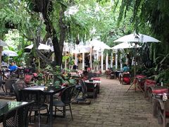 景观位-Fern Forest Cafe