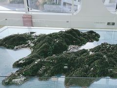 -东澳岛