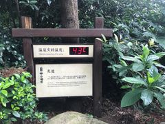 -天目湖涵田半山温泉