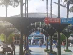 -海合安成都极地海洋公园