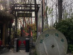 -合肥滨湖国家森林公园