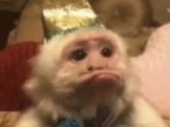 -苹果华为手机维修换屏
