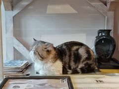 -参差咖啡(水果湖公园店)