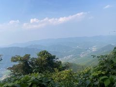 -莫干山风景区