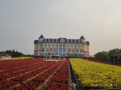-百万葵园