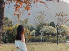 -南沙蒲洲花园