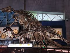 -湖南省地质博物馆