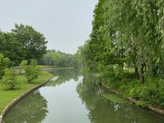 -上海佘山世茂艾美酒店