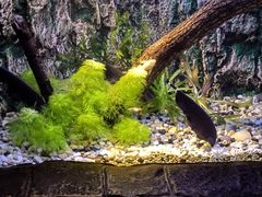 -上海海洋水族馆