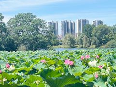 -艾溪湖湿地公园