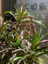 点击看大图 -Y+U遇瑜伽·普拉提