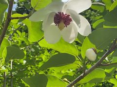 -天女山森林公园