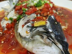 -全乐鱼馆·淳牌有机鱼直营店