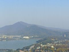 -紫峰大厦