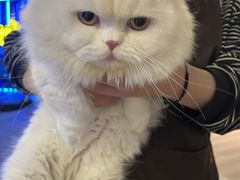 -NRG健身私教CLUB(打浦桥店)