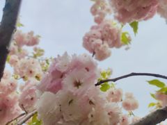 -四明山国家森林公园
