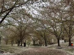 -自然谷恐龙园