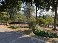 -东莞植物园
