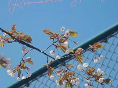 -青岛沙子口国家中心渔港