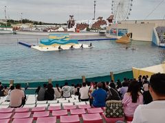 -秦皇岛乐岛海洋王国