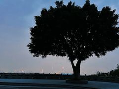 -火炉山森林公园
