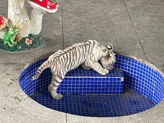 -秦皇岛野生动物园