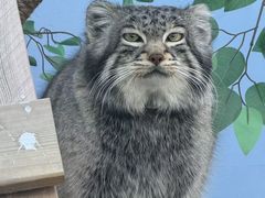 -青藏高原野生动物园