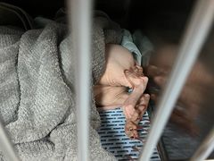 -特一安24小时宠物医院·骨科·中兽医