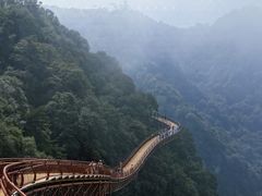 -秦岭风景区