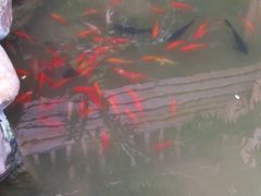 -鸿通城购物中心