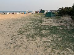 -日照海滨国家森林公园