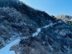 -金龙寺国家森林公园