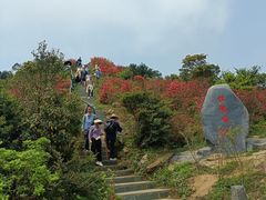 -梧桐山风景名胜区