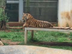 -昆明动物园