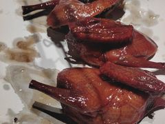 -鸽子侯·家宴·平价海鲜(绿地店)
