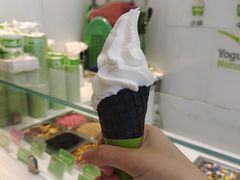 -Salud撒露欧洲冻酸奶(蓝色港湾店)