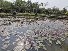 -红色娘子军纪念园