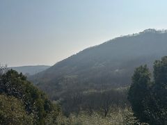 -南京老山国家森林公园