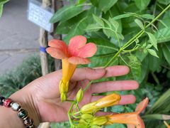 -成都杜甫草堂博物馆