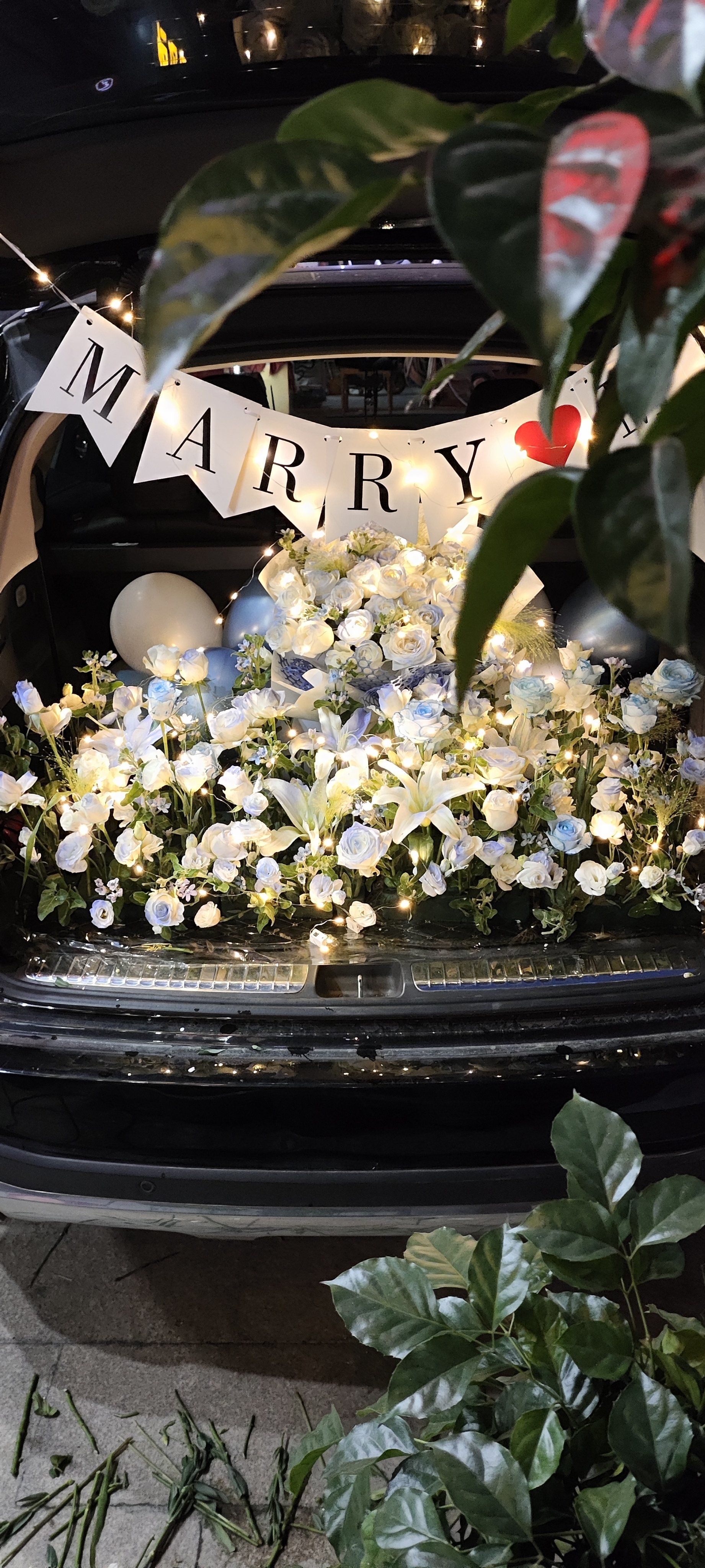 表白后备箱惊喜